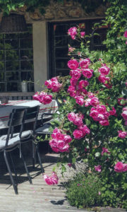 Jardin type Le Nôtre à la française 13