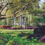 Jardin type Le Nôtre à la française 14
