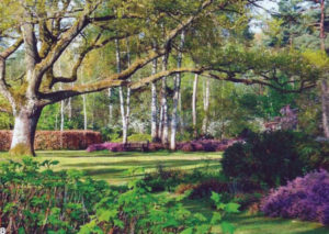 Jardin type Le Nôtre à la française 14