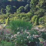 Jardin type Le Nôtre à la française 18