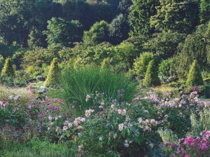 Jardin type Le Nôtre à la française 18