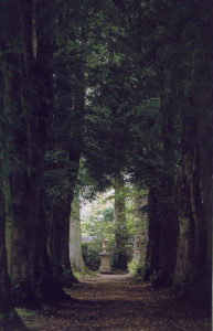 Jardin type Le Nôtre à la française 20