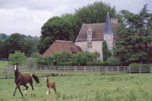 Jardin type Le Nôtre à la française 26