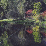 Jardin type Le Nôtre à la française 29