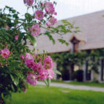 Jardin type Le Nôtre à la française 35