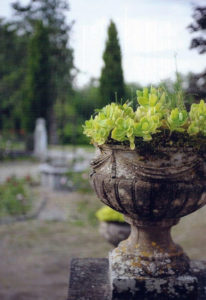 Jardin type Le Nôtre à la française 36