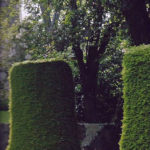 Jardin type Le Nôtre à la française 39