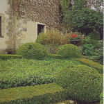 Jardin type Le Nôtre à la française 4