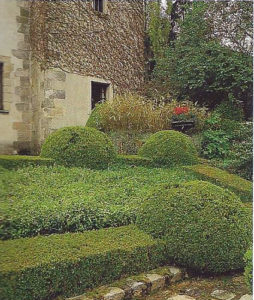 Jardin type Le Nôtre à la française 4