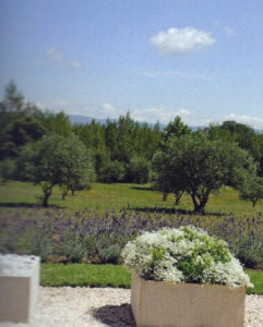 Jardin type Le Nôtre à la française 44