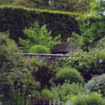 Jardin type Le Nôtre à la française 48