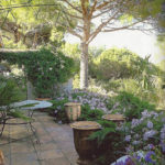 Jardin type Le Nôtre à la française 54