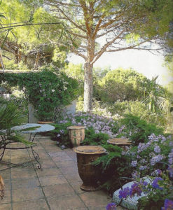 Jardin type Le Nôtre à la française 54