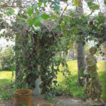 Jardin type Le Nôtre à la française 55