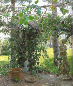 Jardin type Le Nôtre à la française 55