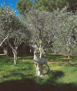 Jardin type Le Nôtre à la française 61