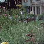 Jardin type Le Nôtre à la française 64