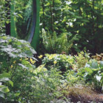 Jardin type Le Nôtre à la française 68