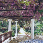 Jardin type Le Nôtre à la française 76