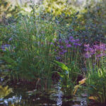 Jardin type Le Nôtre à la française 79