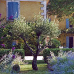 Jardin type Le Nôtre à la française 80
