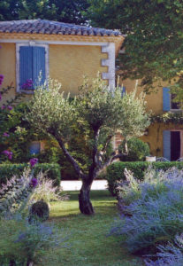 Jardin type Le Nôtre à la française 80