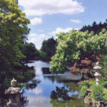 Jardin type Le Nôtre à la française 9